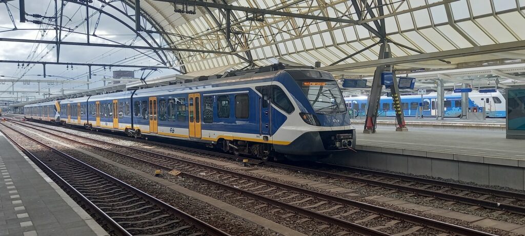 SNG met blauwe neus te Zwolle. ©: Kevin Heijsteeg