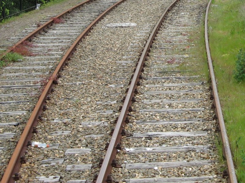 Moederpoes en kittens gered na gevaarlijke situatie langs het spoor bij Meppel